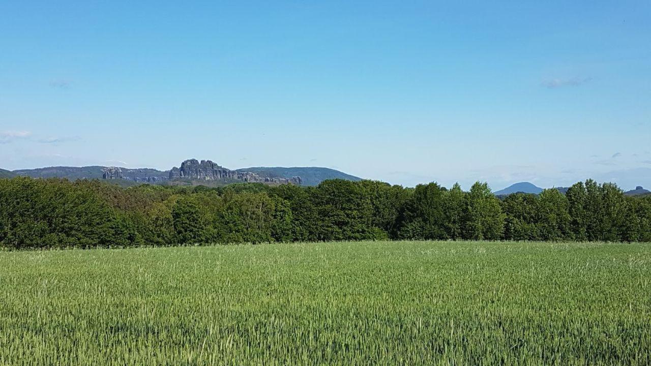 Pension Zaukeneck Bad Schandau Esterno foto